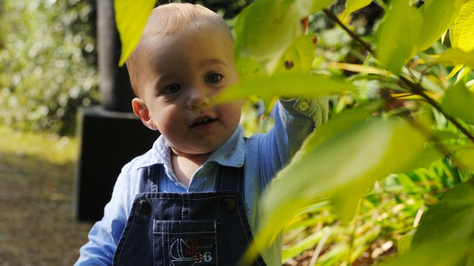 A toddler enjoying the summer at Hidcote, Gloucestershire